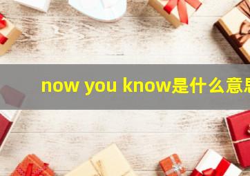 now you know是什么意思